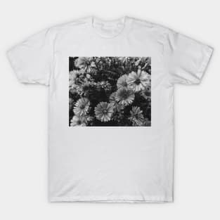 Floral in the dusky light T-Shirt